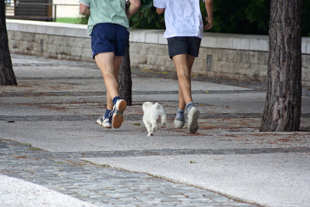 jogging-with-dog-1393943-639x426