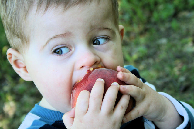 little-boy-eating-a-peach-1-1429637-639x426